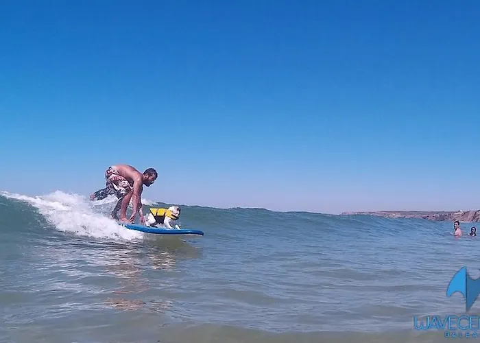 The Wave Maison d'hôtes Baleal